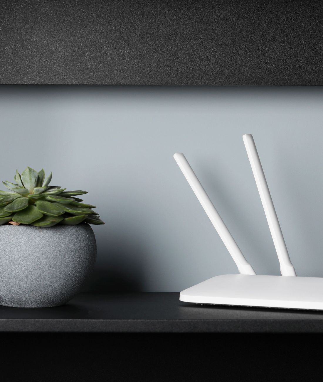 Desk with plant and a router